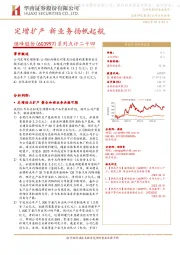 系列点评二十四：定增扩产 新业务扬帆起航