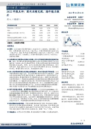 2022年报点评:国内业绩兑现,海外能力提升