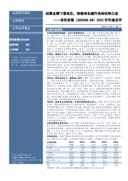 2022年年报点评:结算业绩下滑承压,销售排名提升供给优势凸显