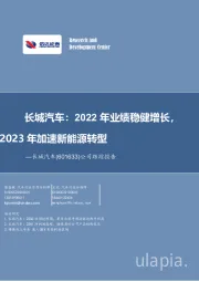 公司跟踪报告:长城汽车:2022年业绩稳健增长,2023年加速新能源转型