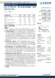 2022年年报点评：商业运营发展稳健，轻重并举未来可期