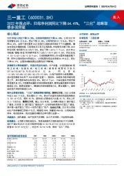 2022年报点评：归母净利润同比下降64.49%，“三化”战略取得多项突破