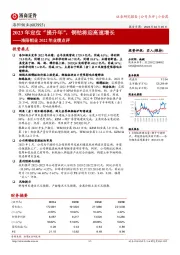 洛阳钼业2022年业绩点评：2023年定位“提升年”，铜钴将迎高速增长