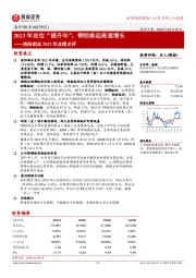 洛阳钼业2022年业绩点评:2023年定位“提升年”,铜钴将迎高速增长