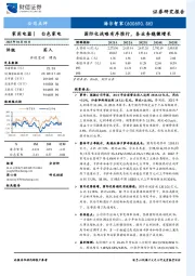 国际化战略有序推行，各业务稳健增长