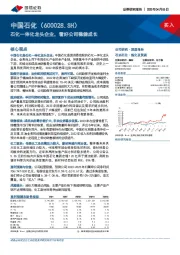 石化一体化龙头企业，看好公司稳健成长