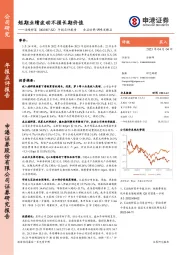 年报点评报告：短期业绩波动不损长期价值