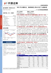 公司信息更新报告：2022年业绩承压，期待轻装上阵&开店下业绩修复