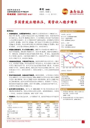 多因素致业绩承压,商管收入稳步增长
