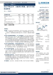 2022年报点评：业绩符合预期，海内外双轮快速驱动