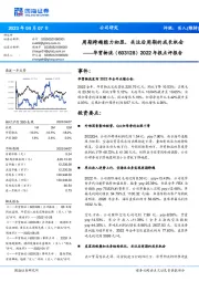 2022年报点评报告:周期跨越能力初显,关注后周期的成长机会
