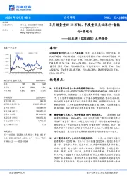 点评报告:3月销量重回20万辆,年度重点关注海外+智能化+高端化