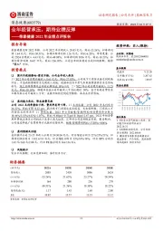 荣泰健康2022年业绩点评报告：全年经营承压，期待业绩反弹