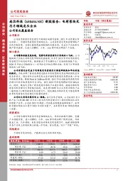 新股报告：电荷泵快充芯片领域龙头企业