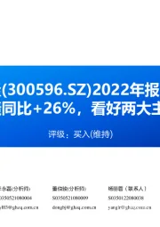 2022年报点评：2022年业绩同比+26%，看好两大主业持续放量