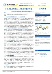 2022年年度报告点评：多因素致业绩承压，双轮驱动复苏可期