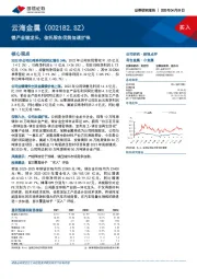 镁产业链龙头，依托股东优势加速扩张