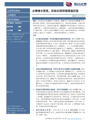 业绩增长亮眼，积极加强销售渠道拓展