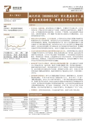 首次覆盖报告:基本盘顺周期修复,新赛道打开成长空间