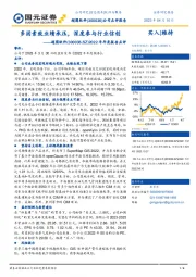 2022年年度报告点评：多因素致业绩承压，深度参与行业信创