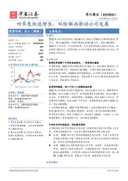 四季度快速增长，双轮驱动推动公司发展