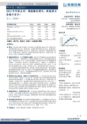 2022年年报点评：储能爆发增长，新能源业务稳中有升！