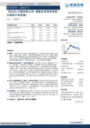 2023Q1业绩快报点评:储能表现持续亮眼,业绩超市场预期!
