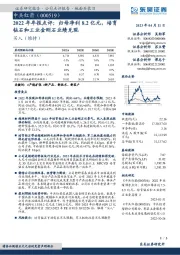 2022年年报点评:归母净利8.2亿元,培育钻石和工业金刚石业绩兑现