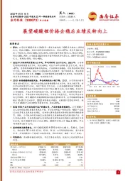 展望碳酸锂价格企稳后业绩反转向上