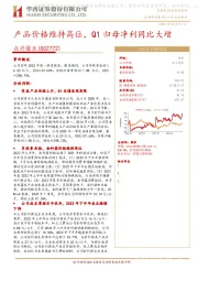 产品价格维持高位，Q1归母净利同比大增