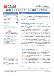 22Q4增长略不及预期，期待2023年产能释放