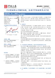 平台型材料公司雏形初现，各类半导体材料多点开花