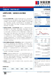 业绩符合预期，电解液龙头地位稳固