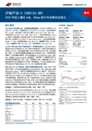 2022年收入增长46%，300mm硅片毛利率由负转正