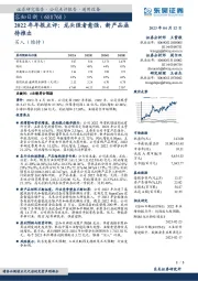 2022年年报点评：龙头强者愈强，新产品亟待推出