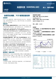 业绩符合预期，TCO玻璃放量在即