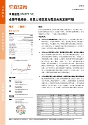 业绩平稳增长,受益大模型算力需求未来发展可期