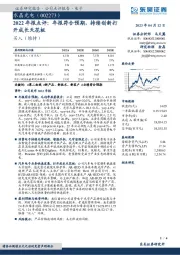 2022年报点评:年报符合预期,持续创新打开成长天花板