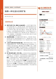 2022年报点评:纵横一体化龙头全球扩张