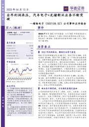 公司事件点评报告:全年利润承压,汽车电子+光储新兴业务不断突破