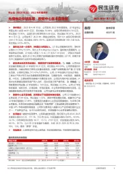 2022年年报点评:光储推动业绩高增,数据中心基本盘稳固