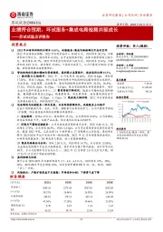 苏试试验点评报告:业绩符合预期,环试服务+集成电路检测共驱成长