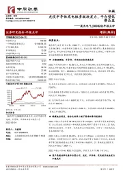 年报点评:光伏半导体充电桩多板块发力,平台型优势凸显
