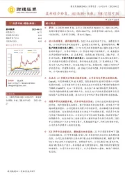 盈利稳步修复，AI浪潮+车载、VR空间可期