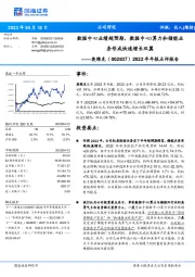 2022年年报点评报告：数据中心业绩超预期，数据中心/算力和储能业务形成快速增长双翼