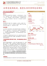 业绩受疫情扰动,展望未来有望恢复高增长