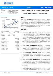 2022年报点评：疫情下业绩短期承压，发力产品渠道培育长期动能