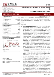 公司点评报告：坚持走国际化发展路径，重点项目持续推进