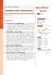 2022年报点评：业绩高增符合预期，光储业务持续发力