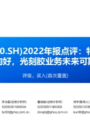 2022年报点评：特种橡胶助剂边际向好，光刻胶业务未来可期